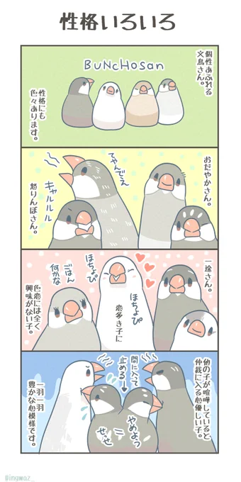 性格いろいろ。 

#Buncho #文鳥
#漫画が読めるハッシュタグ 