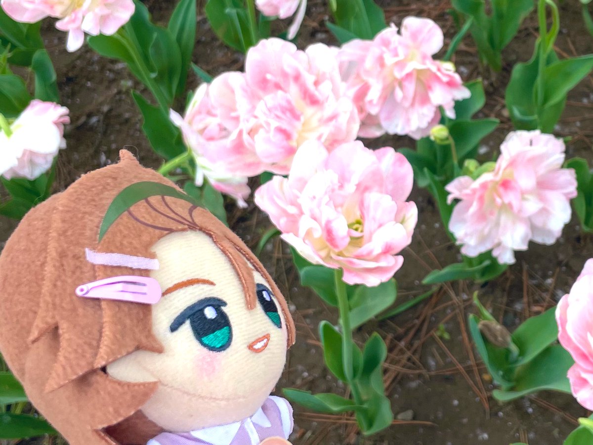 ha_happadayo's tweet photo. #TLにガぬがいるとふわふわで幸せなので https://t.co/7ATohbzUbd