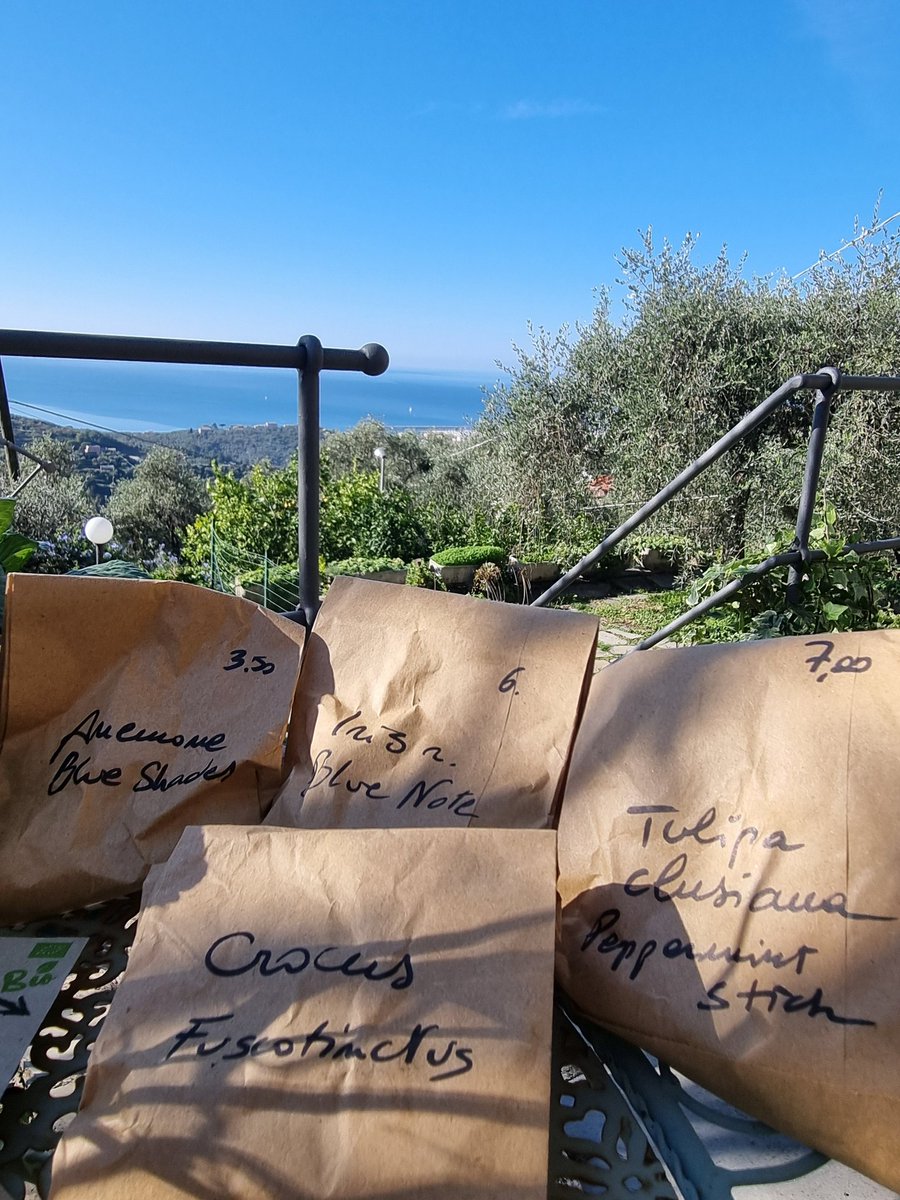 RobertaPellegat's tweet photo. Con questo sole è facile pensare alla primavera #bulbi
#1novembre #Liguria https://t.co/XBmy5dVCbc