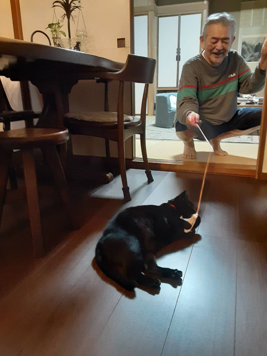 turi2021's tweet photo. 今更ですが…黒猫ってめっちゃ黒いな https://t.co/xVO94fBfNK