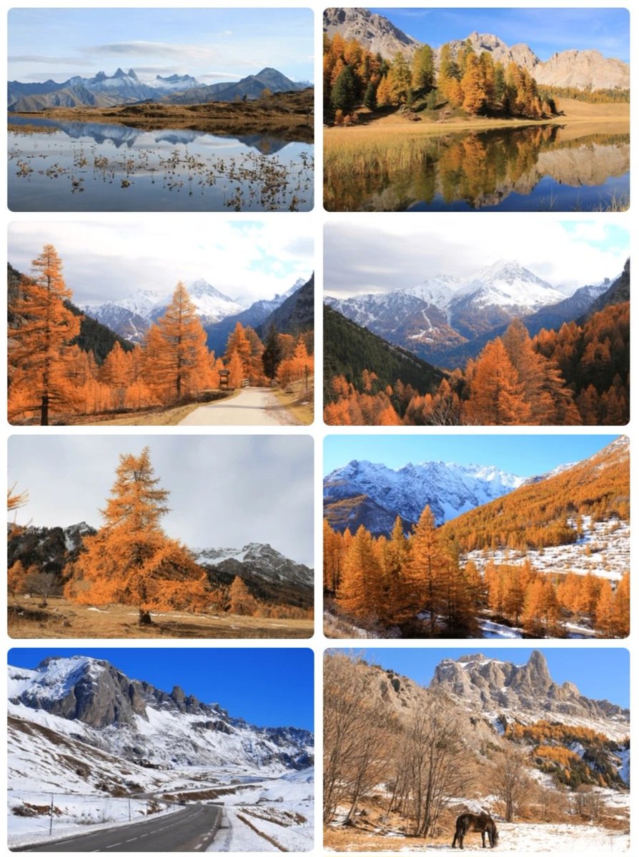 Travelsandphoto's tweet photo. Paysages d'automne entre Savoie et Hautes-Alpes.  Photographies numériques à retrouver ici :

https://t.co/pXedZ8cto9

#alpes #hautesalpes #mountains #landscapephotography #alps #artnumerique #photonumerique #outdoor #hiking #nature #francemontagnes https://t.co/cpbsxfF3be
