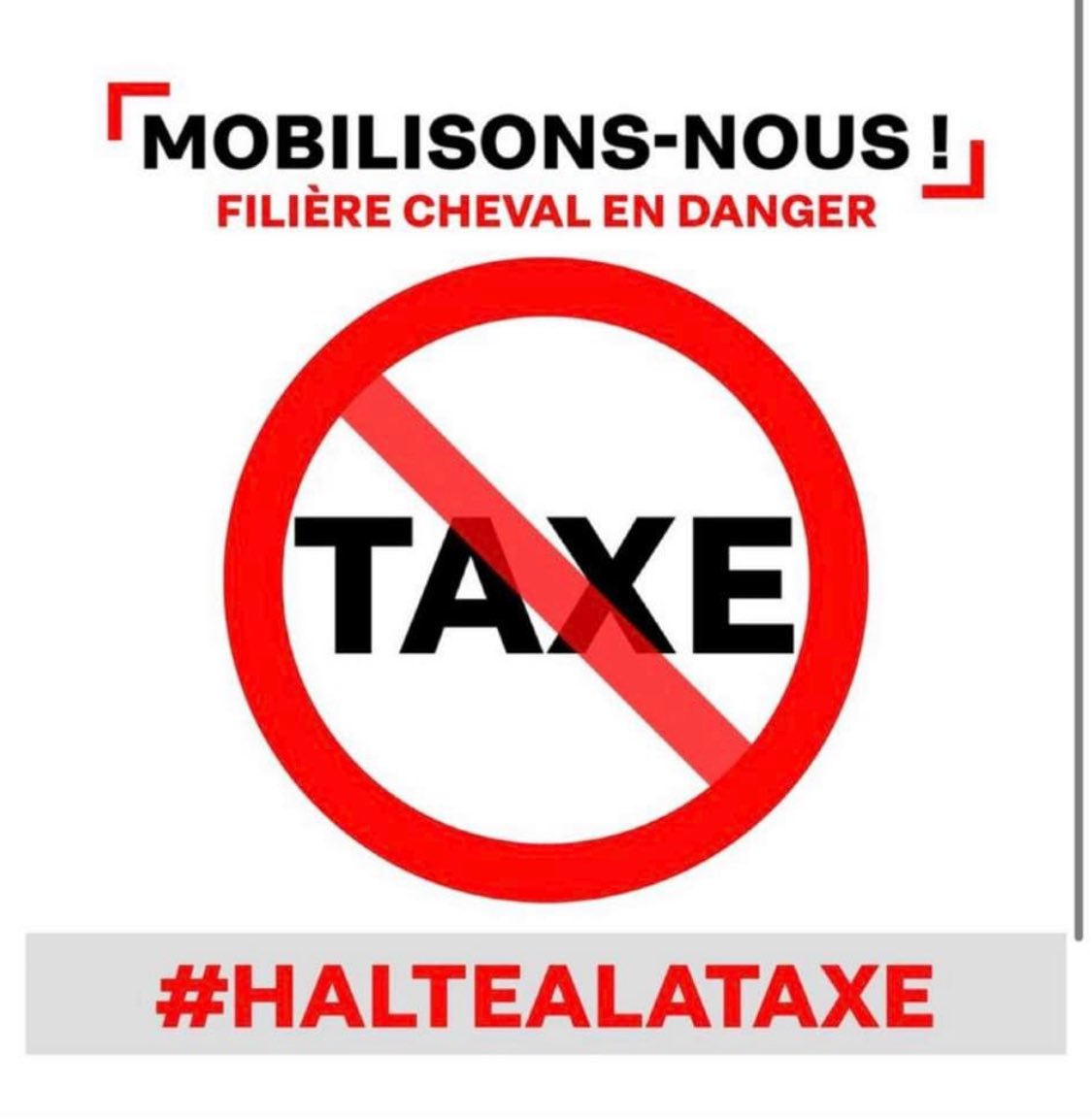 associationpp (@associationpp1) on Twitter photo 