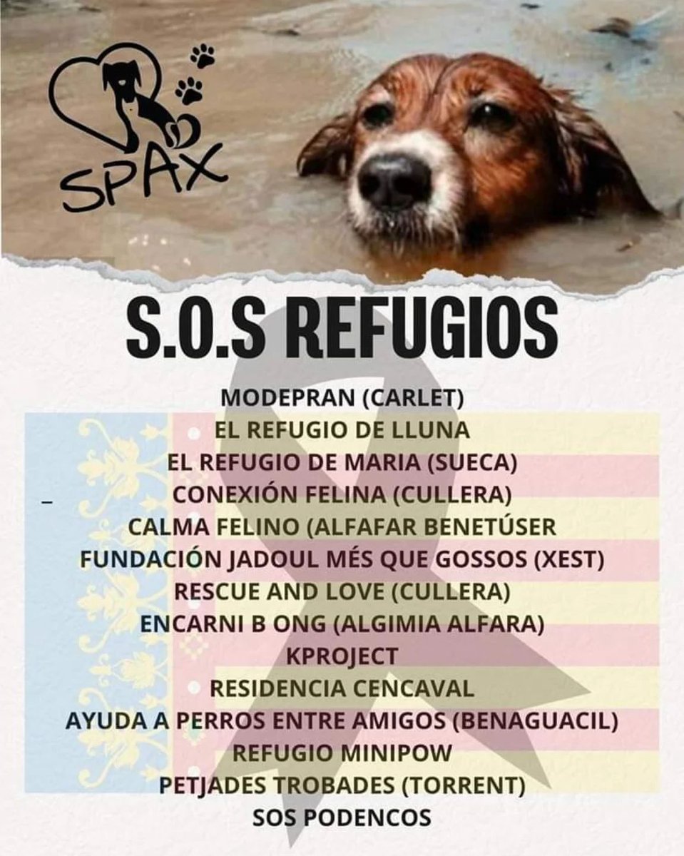 #dana2024 en #Valencia
Lista de Protectoras damnificadas.
En sus paginas web y perfiles de redes sociales detallan la #ayuda que necesitan.
Difunde,gracias!!!