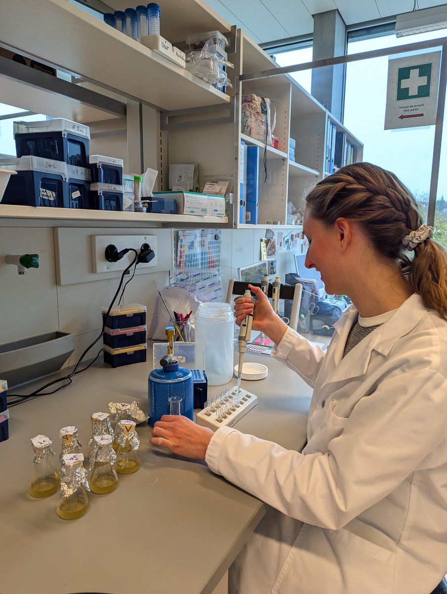 One year of experiments in the <a href="/GoemansLab/">GoemansLab</a> ! 👩🏼‍🔬
This year I didn't forget my lab coat 😝
Now the lab is full with 9 cool lab members, many more equipment, a BSL2 lab + anaerobic chamber running and much fun to come!