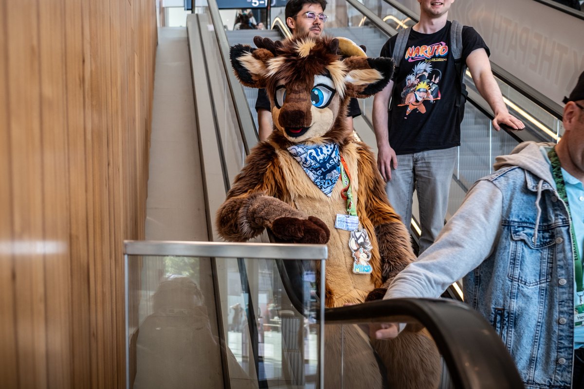 Zhentar | Miko tweet media