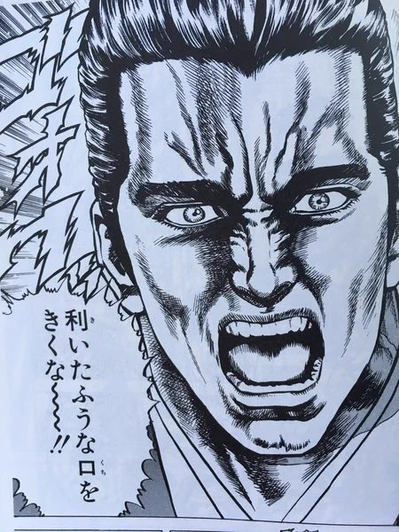 @kidoudensuke DV妻とかの身勝手な被害者意識とか聞いてるとこんな顔になる 