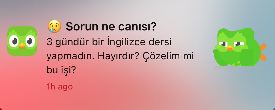 Duolingo’ya yeni dil eklenmiş: Türkçe Sokak Ağzı 🤣