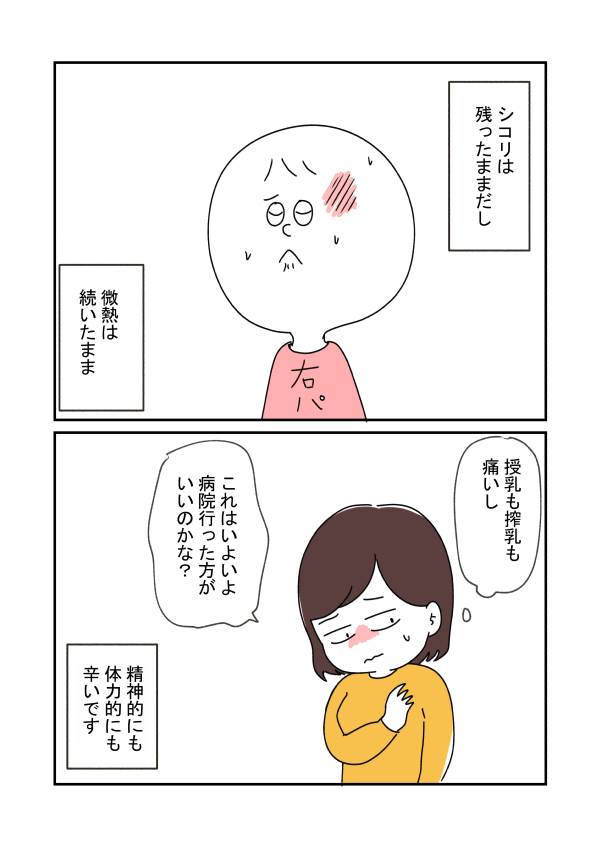 2/4 