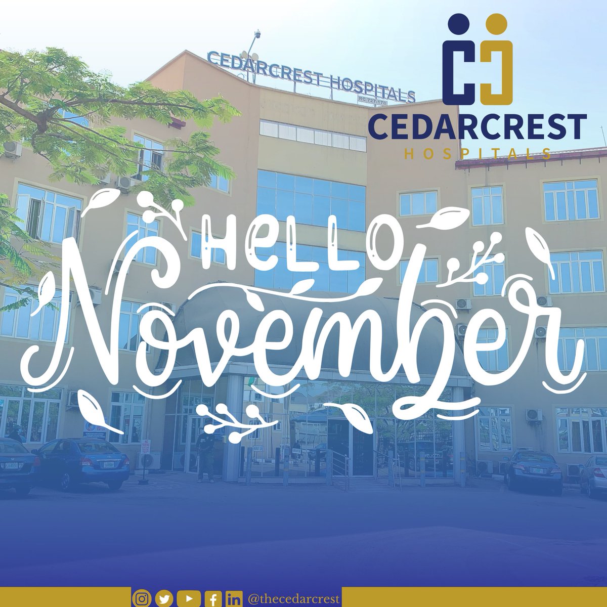 Cedarcrest Hospitals tweet media