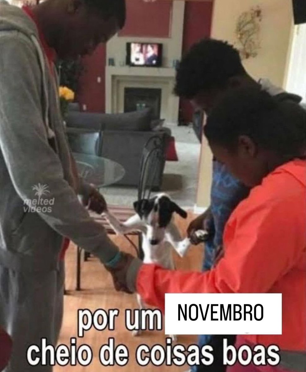 paginalixo1's tweet image. 