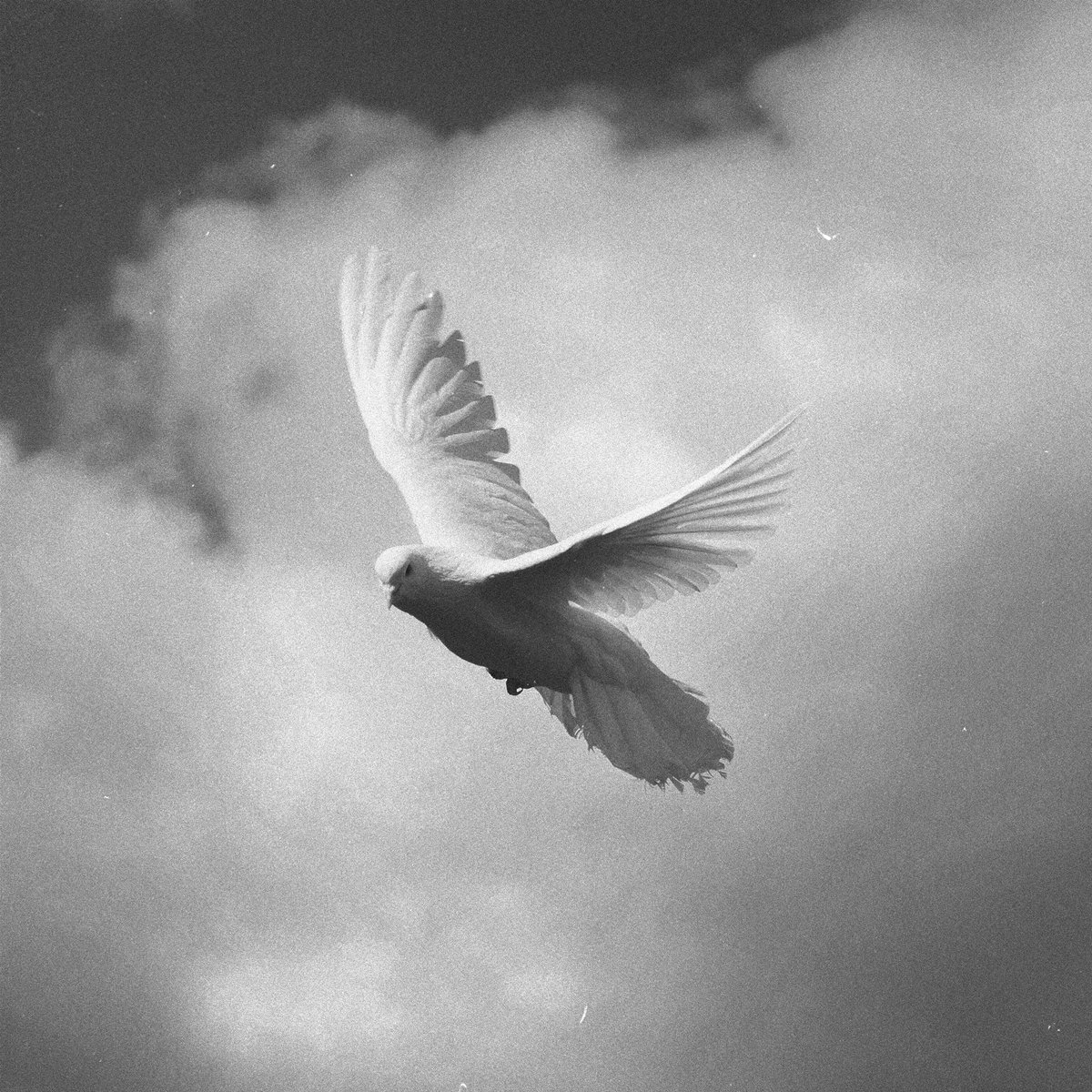 PALACEPROD's tweet image. Découvrez dès maintenant « Que reste-t-il ?», le nouveau single de @DinaaOfficiel 🤍

👉 dinaa.ffm.to/quereste-t-il