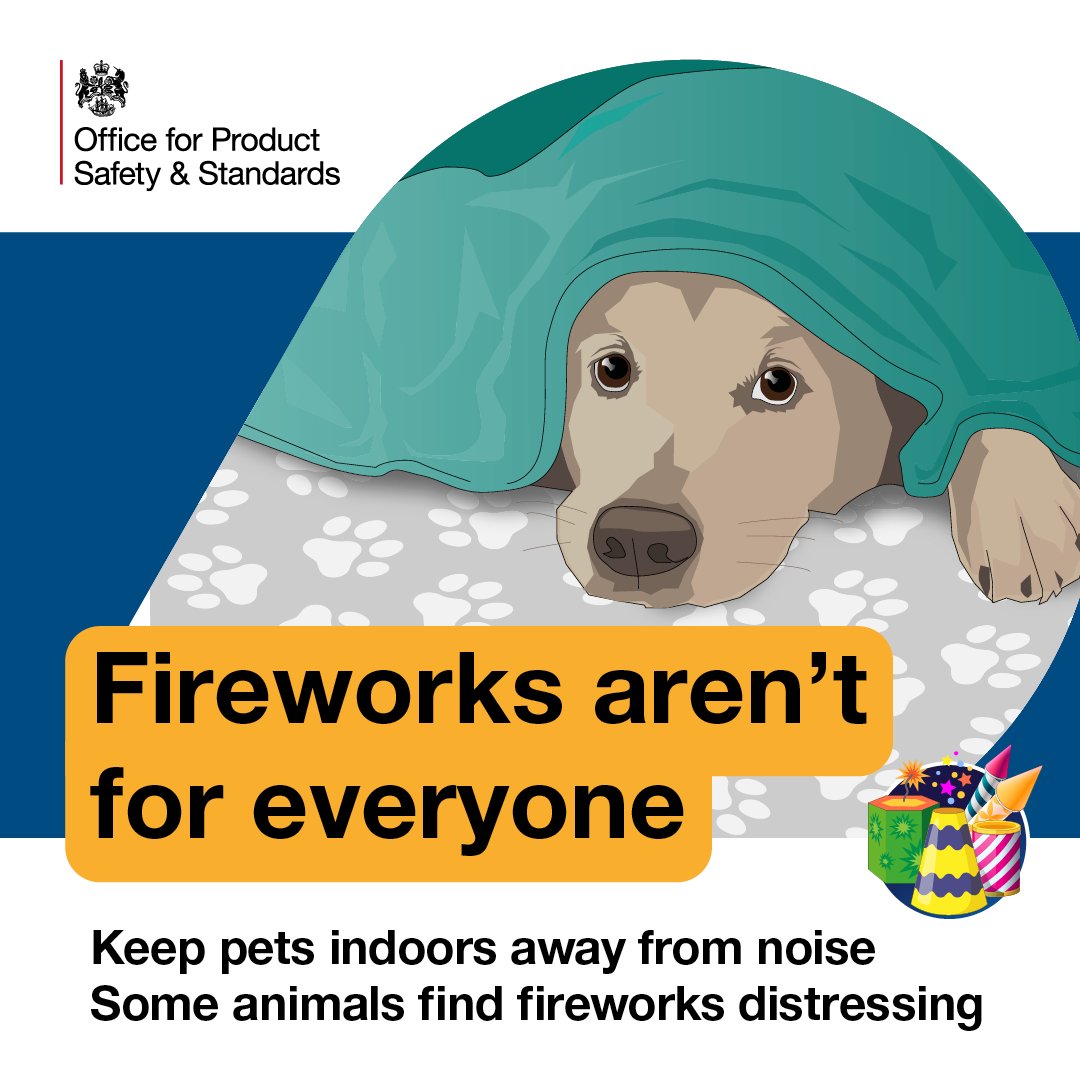 BCPCouncil's tweet image. 🎆Thinking of having fireworks over the next week?

✨Remember, remember the FIREWORK code...

✔️Let your neighbours know you will be having a display, especially if they are elderly or they have pets or children.

To view the full #fireworkcode visit👉 bit.ly/FireworkNightS…