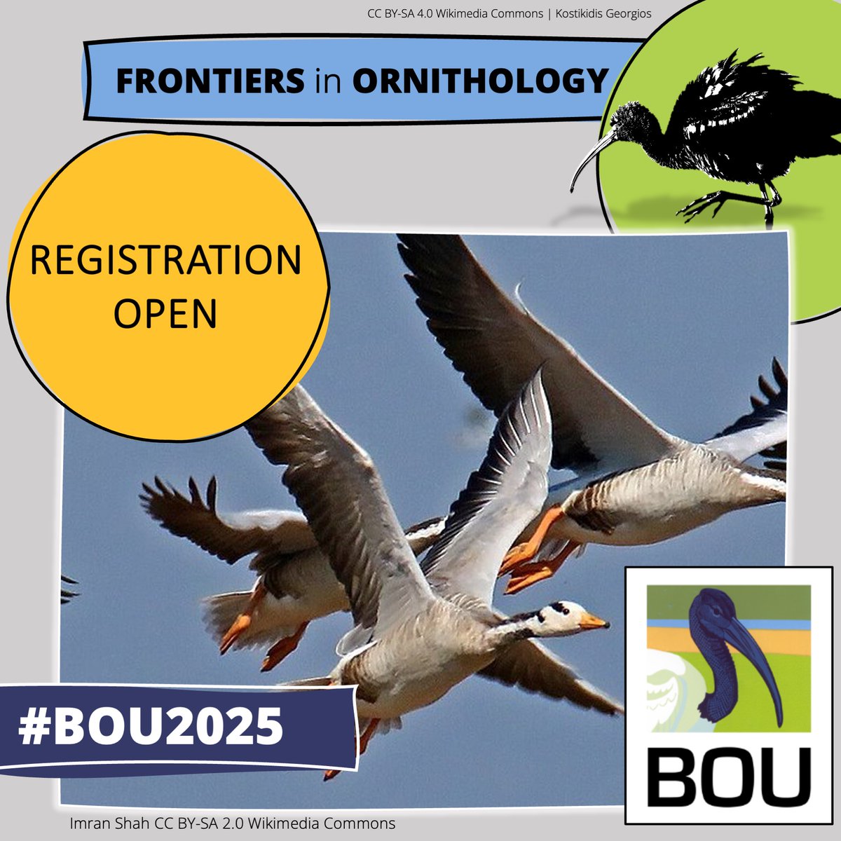 BOU ๐ฉ๐ปโ๐ซ๐จ๐ฟโ๐ซ๐ง๐ฝ๐ณ๐ฝโโ๏ธ ๐ (@ibis_journal) on Twitter photo ๐ข REGISTRATION NOW OPEN!
#BOU2025 | Frontiers in ornithology | 1 - 3 April 2025 | University of Nottingham, UK
Book your place now!
Programme & registration: bou.org.uk/event/frontierโฆ
#ornithology <a href="/_choward/">Christine Howard</a> <a href="/AilidhBarnes/">Dr Ailidh Barnes</a> <a href="/buchanding/">Claire Buchan</a> <a href="/MariusSomveille/">Marius Somveille</a> Ollie Leedham ๐ข REGISTRATION NOW OPEN!
#BOU2025 | Frontiers in ornithology | 1 - 3 April 2025 | University of Nottingham, UK
Book your place now!
Programme & registration: bou.org.uk/event/frontierโฆ
#ornithology <a href="/_choward/">Christine Howard</a> <a href="/AilidhBarnes/">Dr Ailidh Barnes</a> <a href="/buchanding/">Claire Buchan</a> <a href="/MariusSomveille/">Marius Somveille</a> Ollie Leedham