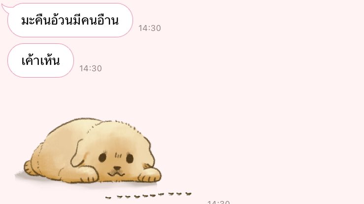 nov diary tweet media