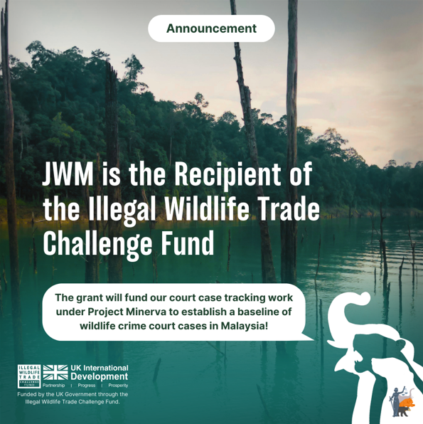 UKinMalaysia's tweet photo. The #UK is working with #Malaysia at #COP16 and beyond to reduce pressures on wildlife &amp; protect biodiversity.

Congratulations to @jwmys and @TheWCS Malaysia for leading new projects supported by @UKBCFs Illegal Wildlife Trade Challenge Fund.

More Info: https://t.co/MwEx791zxB https://t.co/FPk4zMmLL5