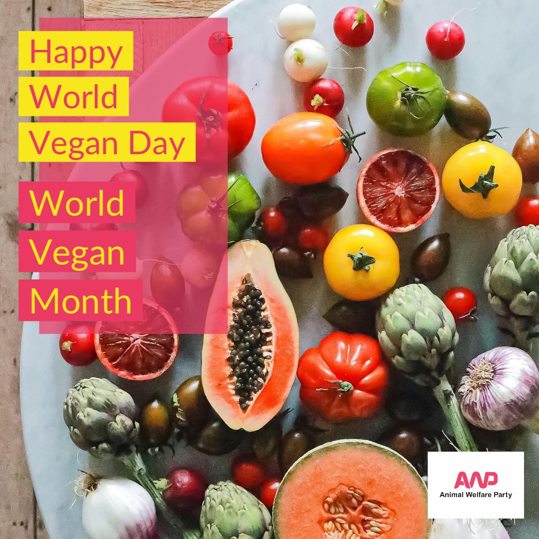 🎉Happy World Vegan Day and the start of World Vegan Month. Here at Animal Welfare Party we know that lifestyles free of animal products are a win, win, win - being better for people, animals &amp; planet. So hats off to all giving vegan a go! 

#WorldVeganDay #WorldVeganMonth #Vegan