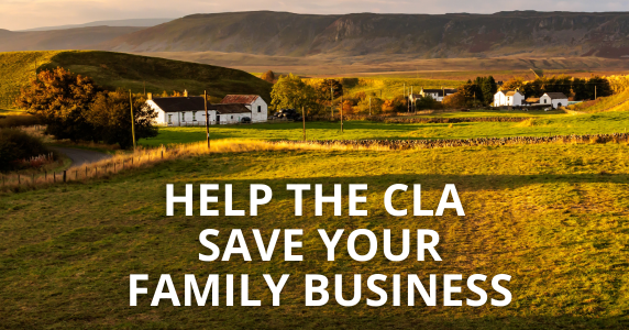 Claire Wright tweet media