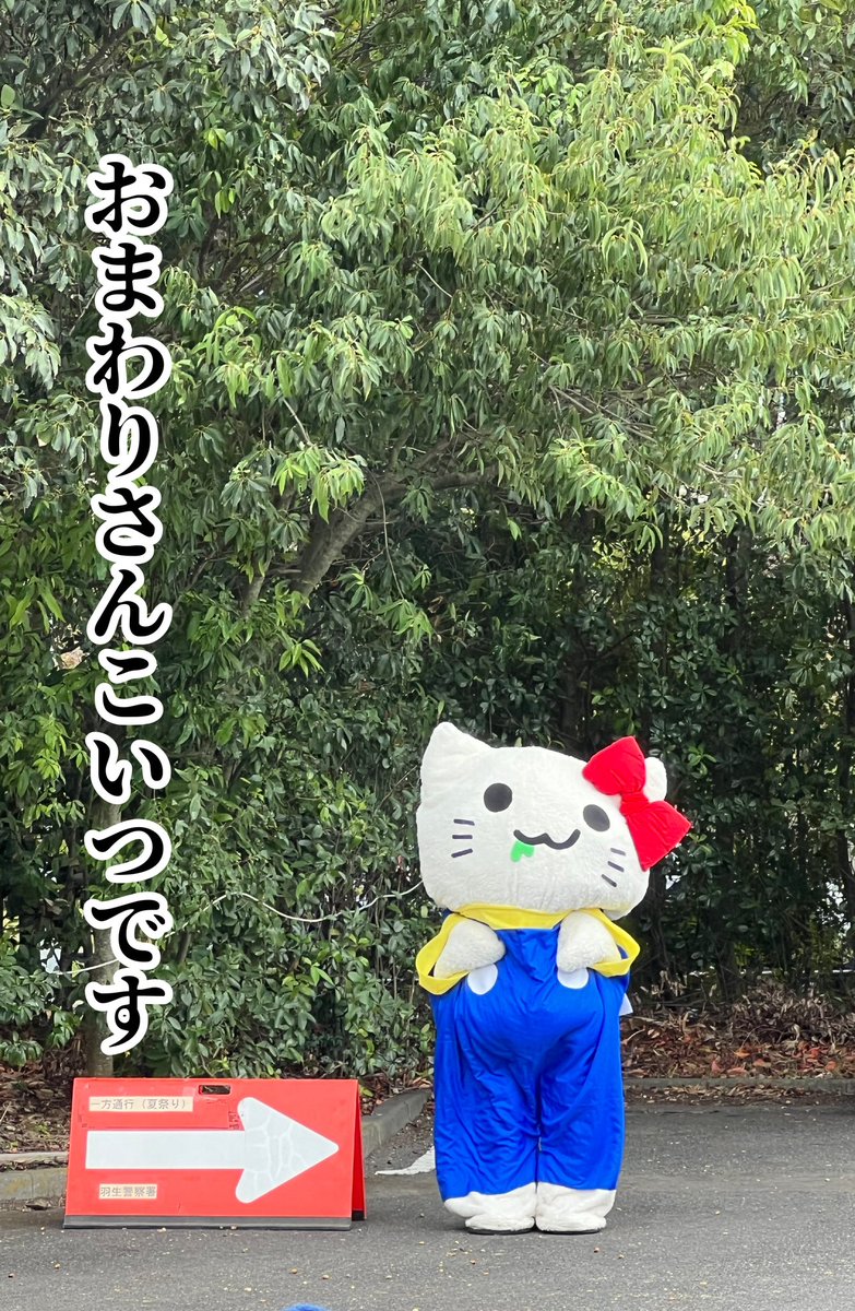 キティちゃんはぴばにゃー🎉😽ྀི🎂 #ハローキティ50周年 ※あくまでも