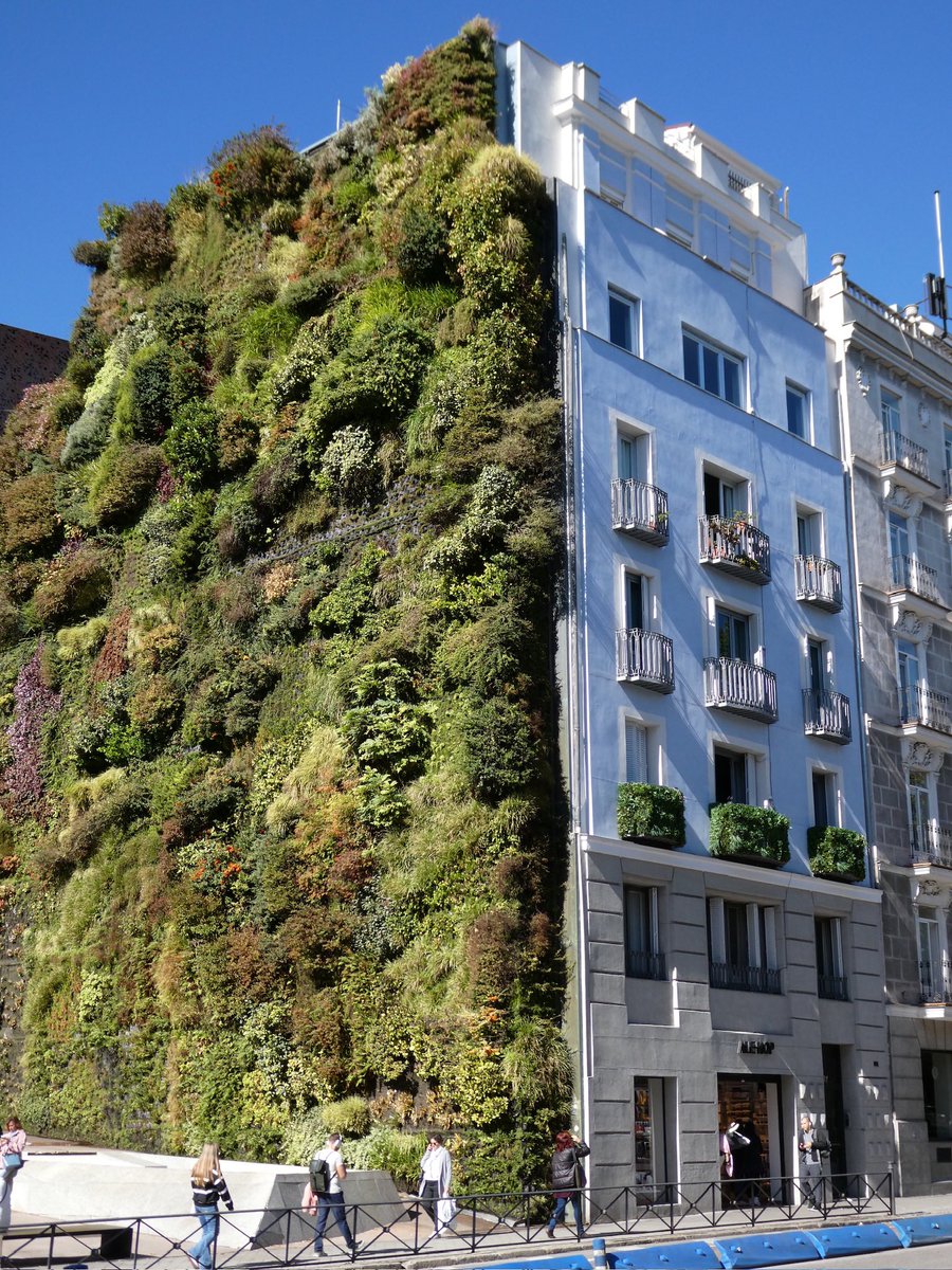 smdavies67's tweet photo. All cities should have #livingwalls
retrofitted in like this one in #Madrid. It would also be nice to see steps taken to reduce the volume of traffic flying through Madrid city day & night too though …
#urban #greenspace https://t.co/RXvvMtEqOC