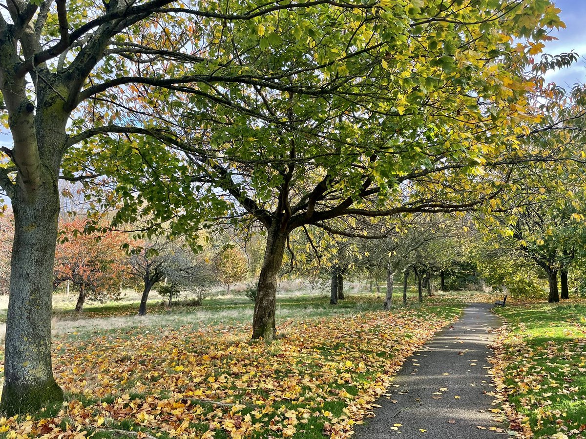 Autumn feeling at Hemsworth Park <a href="/WkfdOfficial/">Wakefield Official News</a> <a href="/WakeExpress/">Wakefield Express</a> <a href="/PandCExpress/">Pont & Cas Express</a> <a href="/HSEExpress/">Hemsworth Express</a> <a href="/journoLeanneC/">Leanne Clarke</a> <a href="/BBCLookNorth/">BBC Yorkshire</a> <a href="/bbcweather/">BBC Weather</a> <a href="/Hudsonweather/">Paul Hudson</a> <a href="/KeeleyDonovan/">Keeley Donovan</a> @katerinabbc <a href="/EmmanuelleLhoni/">Emmanuelle Lhoni</a>