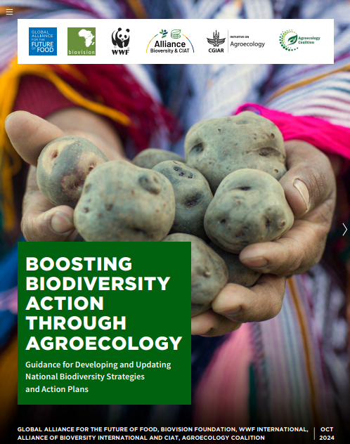 📖New publication
🌱Boosting biodiversity action through agroecology

🥕Learn how #agroecology &amp; food systems can contribute to National #Biodiversity Strategies and Action Plans &amp; contribute to Sustainable Development Goals 

Available here➡️ tinyurl.com/mrx9ryf4
#COP16 #SDGs
