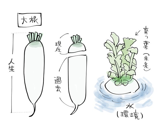 大根の件です。 