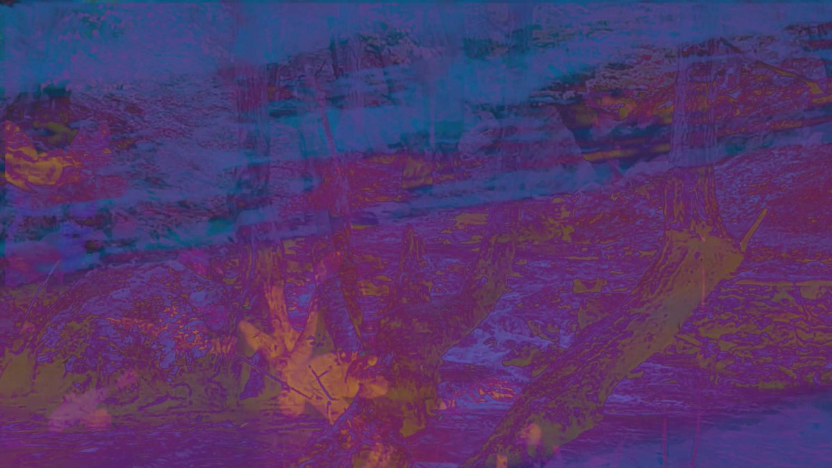 Aslıhan Kaplan Bayrak, Kuş-Balık 2 | Bird-Fish 2, 2024, video , 43'' #aslıhankaplanbayrak #yıldızada #starisland #labirentsanat #art #artcollector #artgallery #artoftheday #artpiece #contemporaryart #creative #dailyart #minimal #emergingart #exhibition #kunst #russianart