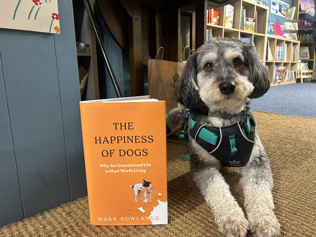 BantryBookshop (@bantrybookshop) on Twitter photo Stanley from <a href="/BantryBookshop/">BantryBookshop</a> has been ordering all his favourite books - <a href="/NiallHarbison/">Niall Harbison</a> and <a href="/ruskin147/">Rory Cellan-Jones</a> are his top picks! He says it is all about the #happpinessofdogs 🐶! Stanley from <a href="/BantryBookshop/">BantryBookshop</a> has been ordering all his favourite books - <a href="/NiallHarbison/">Niall Harbison</a> and <a href="/ruskin147/">Rory Cellan-Jones</a> are his top picks! He says it is all about the #happpinessofdogs 🐶!