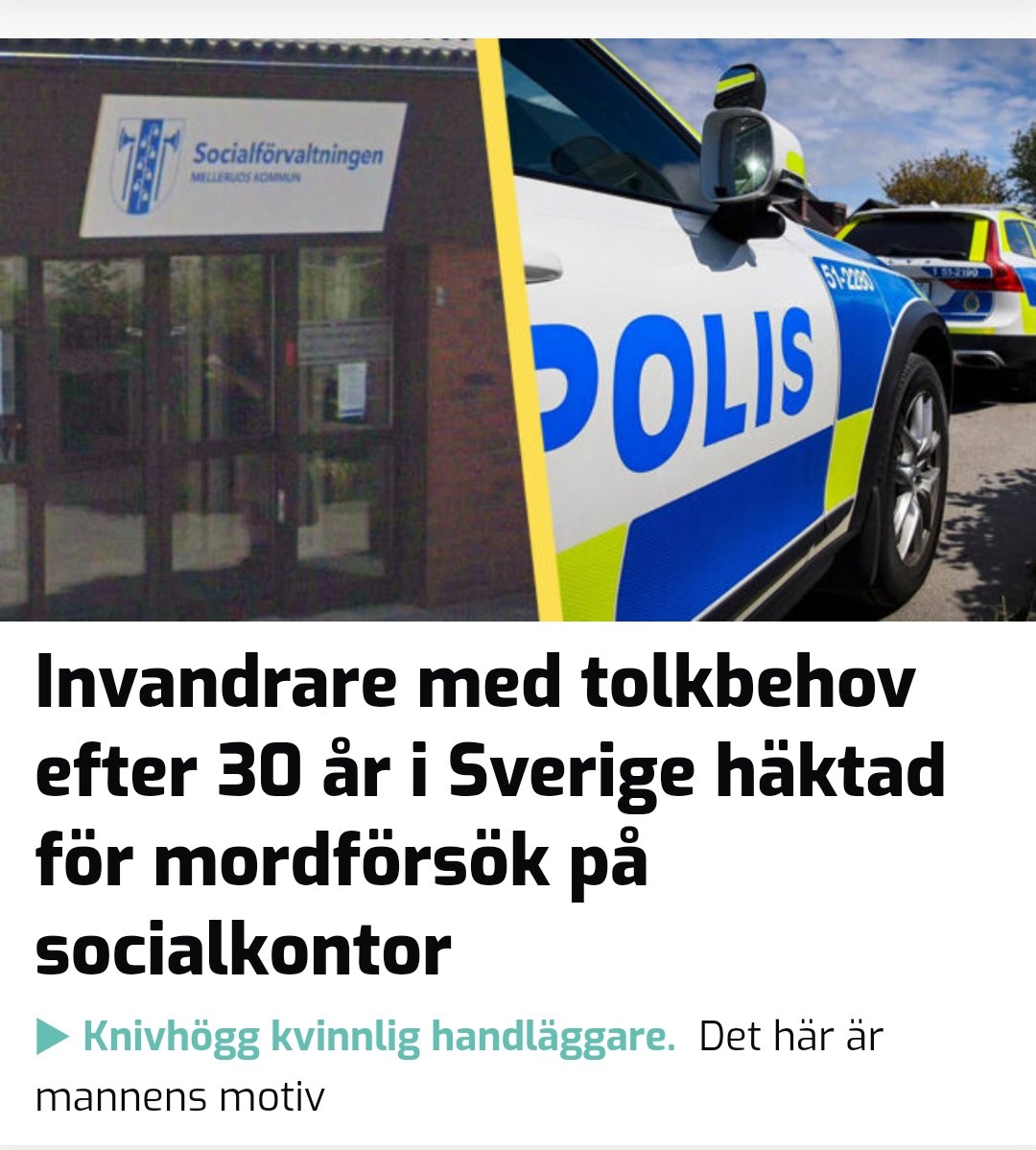 Werwolf102's tweet photo. Han vill helt klart inte lära sig svenska. 

Bara att hiva ut över gränsen 

#pack #ohyra #utnu @sdriks #vandel https://t.co/dnKHxwxjfl