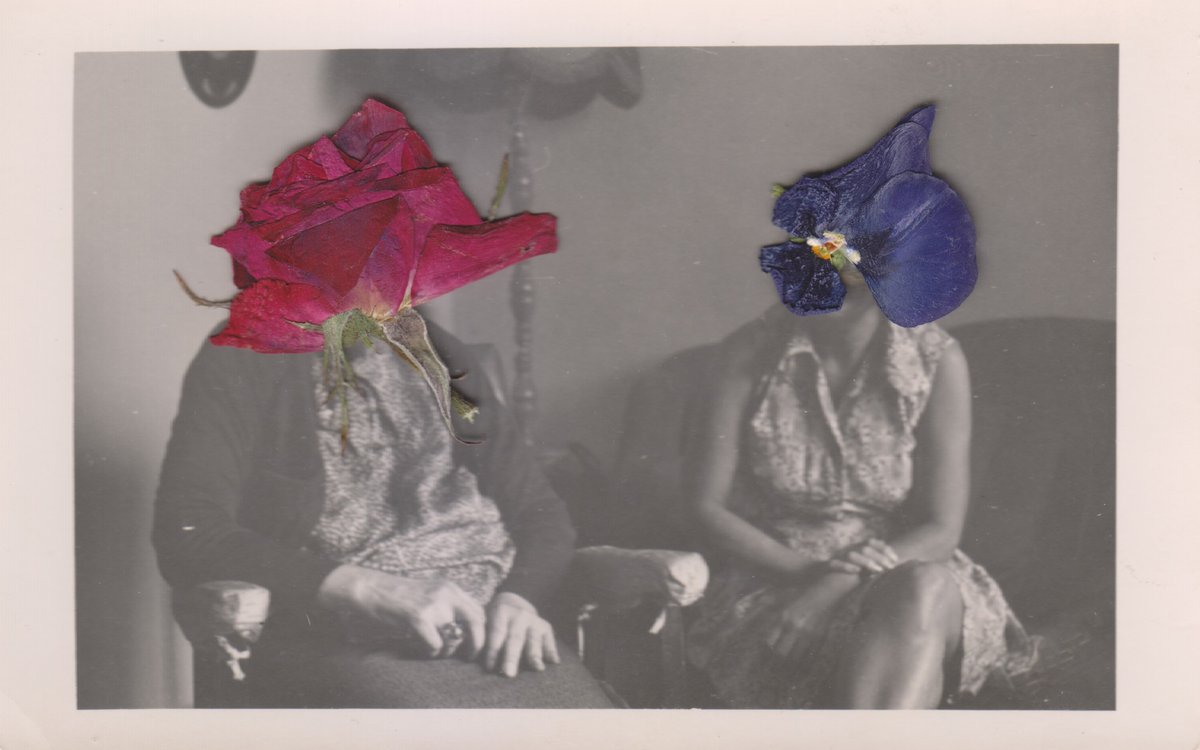 LGBTİ+ şairlerin şiirlerine yer verdiğimiz #YeryüzüAğacı geri döndü. Sunuş yazısını yeni editörü Hazan Özturan’ın (<a href="/Hznzt/">Hazandra 🏳️‍🌈 #6284</a>) yazdığı seçkinin konukları Gizem Seher (<a href="/gizem_seher_/">gizem</a>), Eren Ateş ve İlke İmer (<a href="/FeministDeli/">İlke İmer</a>): velvele.net/2024/10/31/yer… 

Kolaj: <a href="/mercan_bas/">mercanbaşka</a>