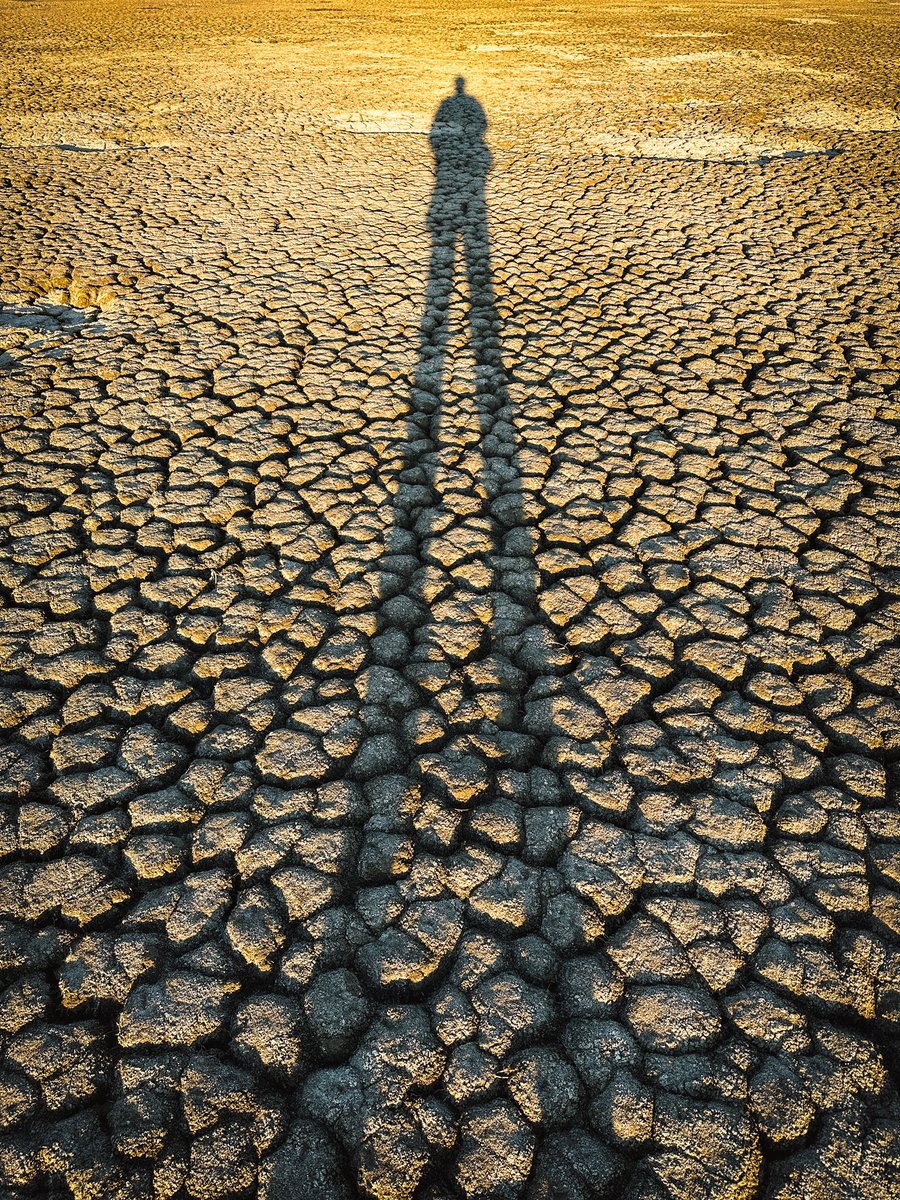 Kuruyoruz…
Bataklıklar, sığ sular artık bu gidişata dayanamıyor. Sonbahar göçünde dönüş yolunda yüzlerce türden on binlerce kuş her yıl uğradıkları sulak alanlardaki bu durum yüzünden beslenemediler, dinlenemediler. Daha uzun mesafeleri aç, susuz ve yorgun devam etmek zorunda