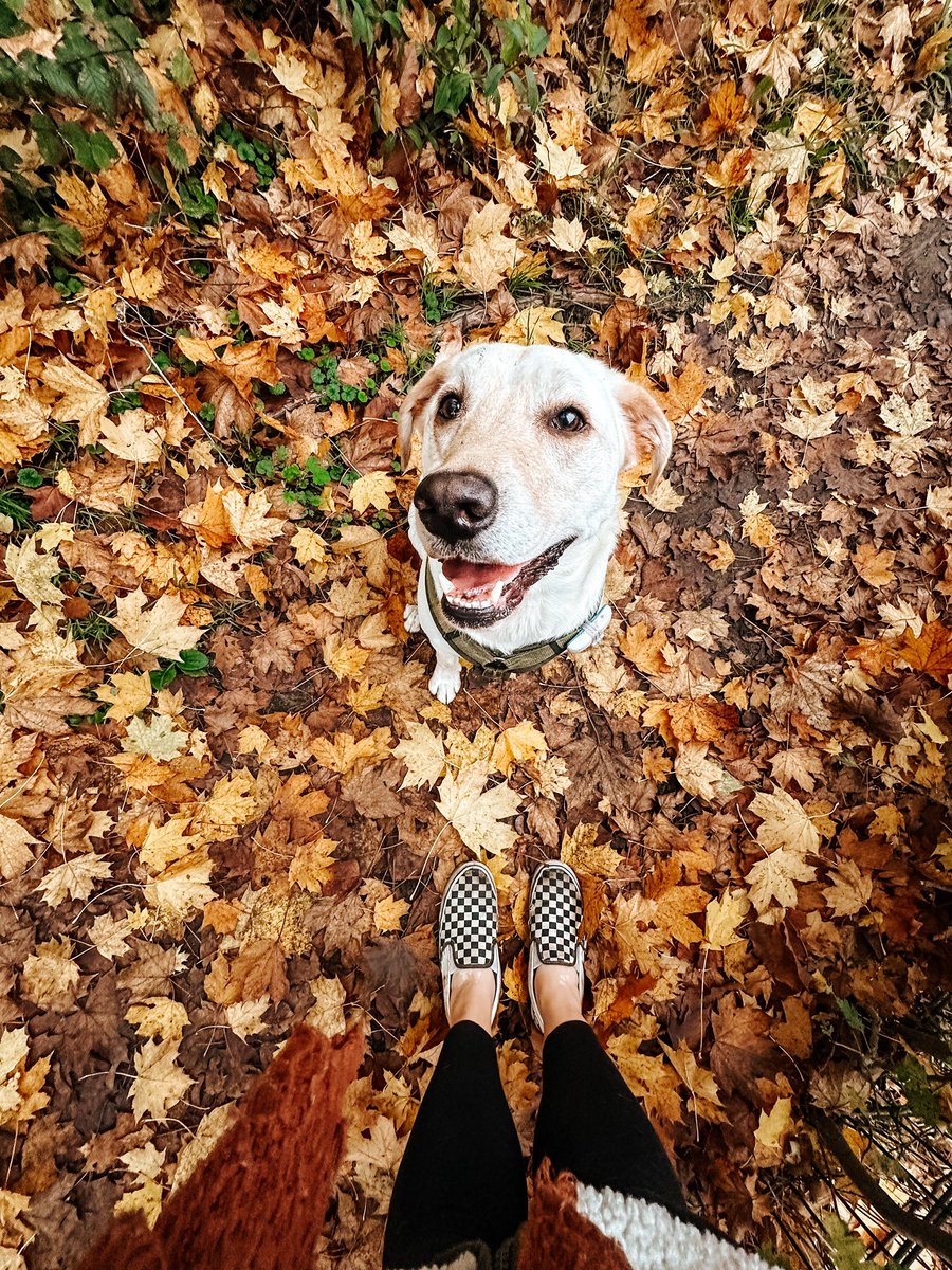 Liv 🌲 tweet media