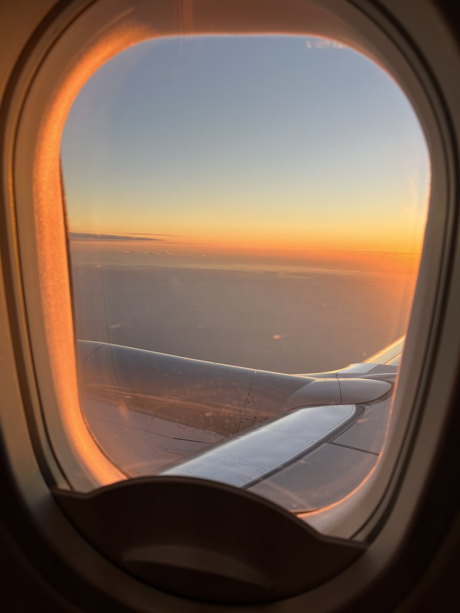 justine lang tweet media