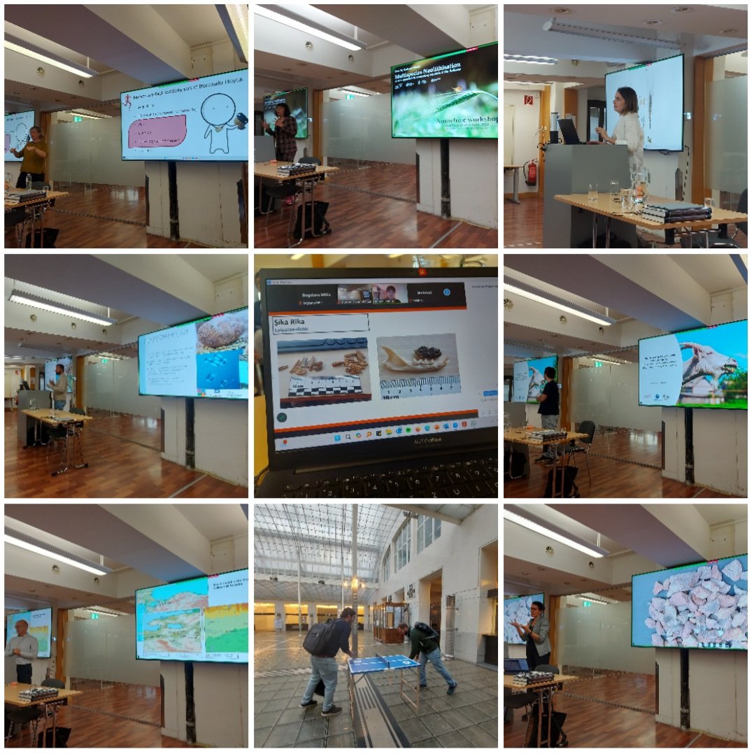 Bogdana Milić (@bogdanamilic) on Twitter photo It was just amazing to have all project members and associate partners of my ARROFUNC postdoc gathered in Vienna to discuss new methodological approaches to the emergence of the Neolithic in SW Asia🦌 Thank you <a href="/BarbaraHorejs/">Barbara Horejs</a>, <a href="/oeai_oeaw/">Österreichisches Archäologisches Institut</a> & <a href="/FWF_at/">FWF</a> for making this all possible! 🌟 It was just amazing to have all project members and associate partners of my ARROFUNC postdoc gathered in Vienna to discuss new methodological approaches to the emergence of the Neolithic in SW Asia🦌 Thank you <a href="/BarbaraHorejs/">Barbara Horejs</a>, <a href="/oeai_oeaw/">Österreichisches Archäologisches Institut</a> & <a href="/FWF_at/">FWF</a> for making this all possible! 🌟