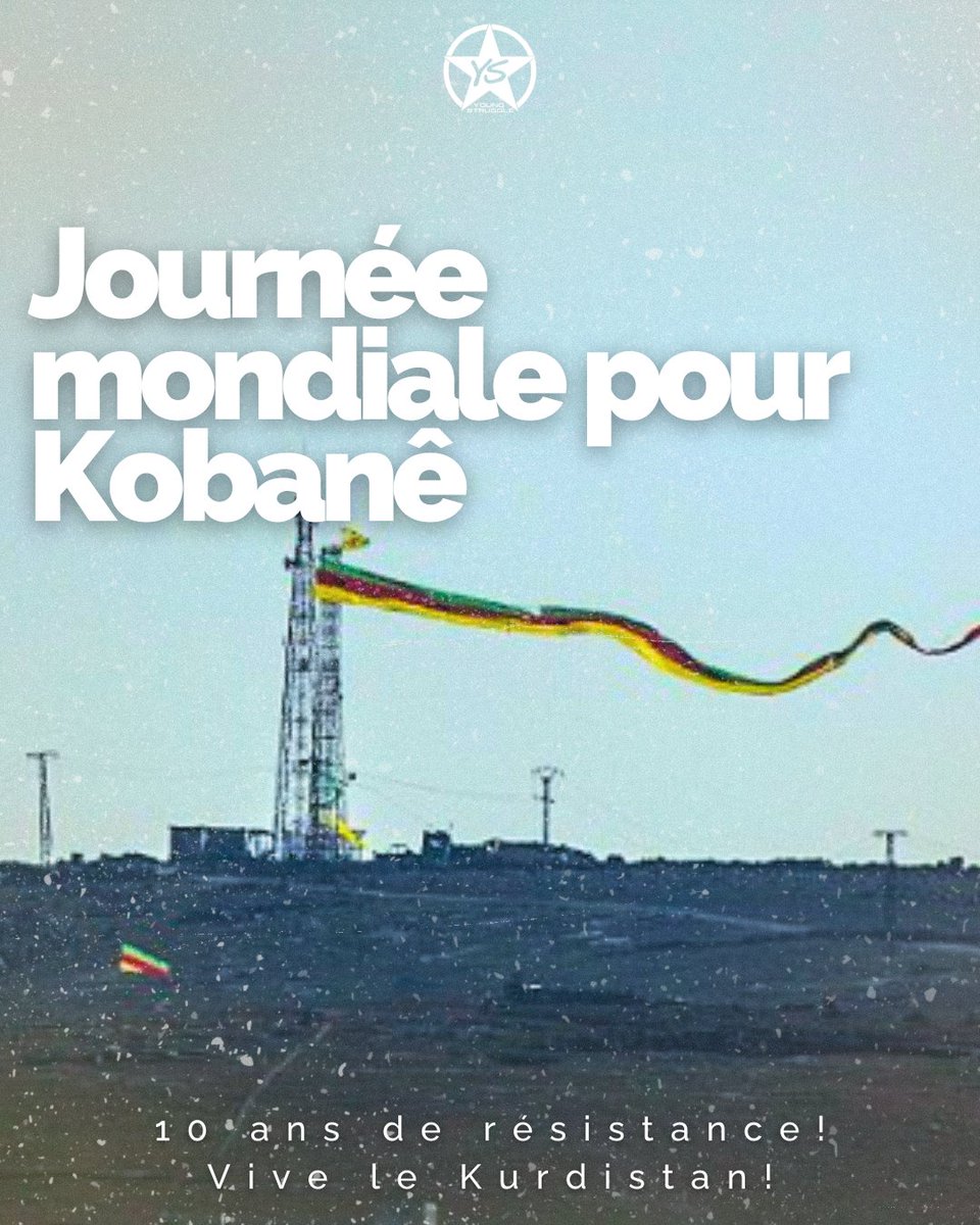 Young Struggle France 🇵🇸🇳🇨 tweet media