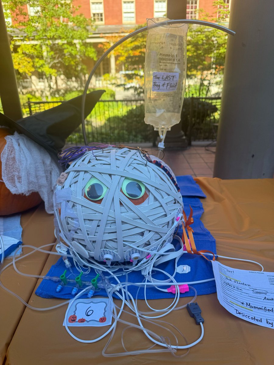 JHU ACCM Education (@accmeducation) on Twitter photo Congratulations to Dr Christina Miller's and ACCM team! Won Best in Show in the JHH Pumpkin Fest! <a href="/HopkinsACCM/">Johns Hopkins ACCM</a> <a href="/HopkinsACCMCard/">Hopkins Cardiac Anes</a> <a href="/HopkinsMedicine/">Johns Hopkins Medicine</a> #accm Congratulations to Dr Christina Miller's and ACCM team! Won Best in Show in the JHH Pumpkin Fest! <a href="/HopkinsACCM/">Johns Hopkins ACCM</a> <a href="/HopkinsACCMCard/">Hopkins Cardiac Anes</a> <a href="/HopkinsMedicine/">Johns Hopkins Medicine</a> #accm