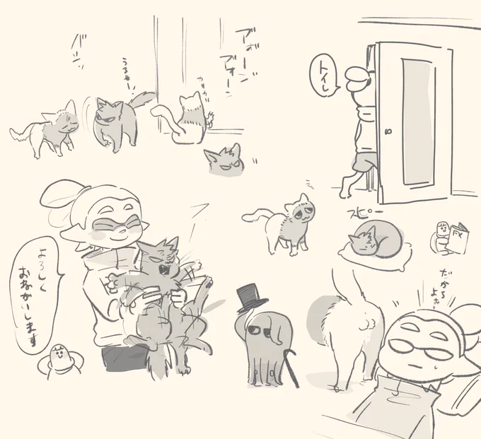 猫日和 