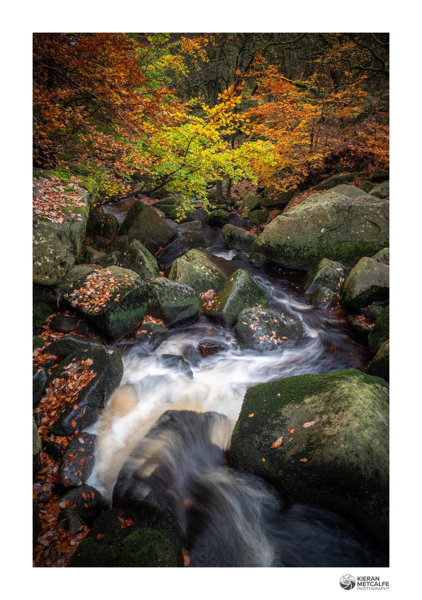 Kieran Metcalfe 💙 tweet media