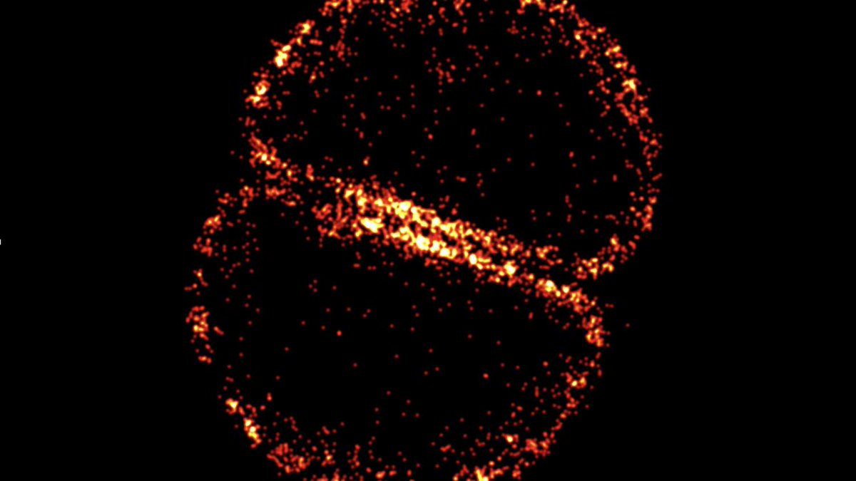 UCD Research (@ucd_research) on Twitter photo A new study from scientists at <a href="/sheffielduni/">The University of Sheffield</a> and <a href="/ucddublin/">University College Dublin</a> has revealed how the hospital superbug MRSA can grow and divide in the presence of antibiotics.
MRSA is an antimicrobial resistance superbug that causes over 120,000 deaths a year. The findings <a href="/ScienceMagazine/">Science Magazine</a> offer A new study from scientists at <a href="/sheffielduni/">The University of Sheffield</a> and <a href="/ucddublin/">University College Dublin</a> has revealed how the hospital superbug MRSA can grow and divide in the presence of antibiotics.
MRSA is an antimicrobial resistance superbug that causes over 120,000 deaths a year. The findings <a href="/ScienceMagazine/">Science Magazine</a> offer