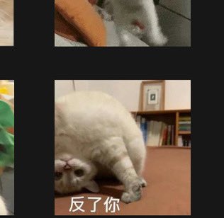 猫撅屁股表情包我都有 这性暗示了啥 https://t.co/KiLKsGSrOW