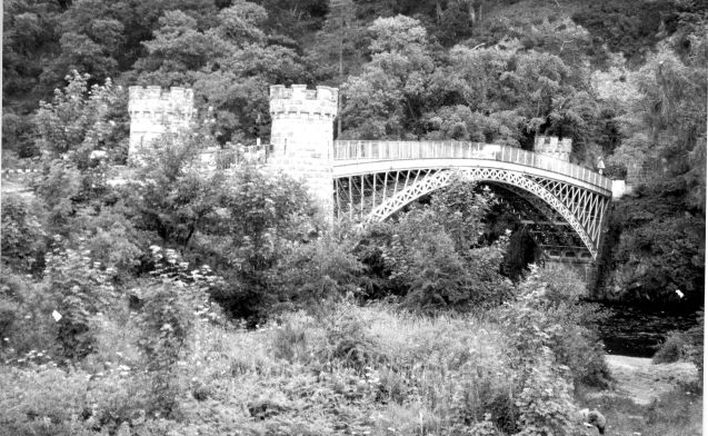 ICE Library tweet media