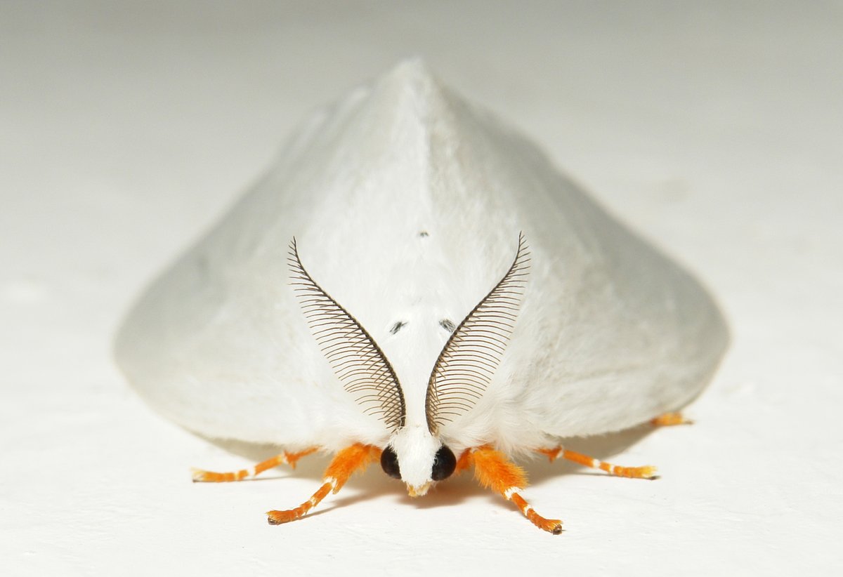 John Horstman tweet media