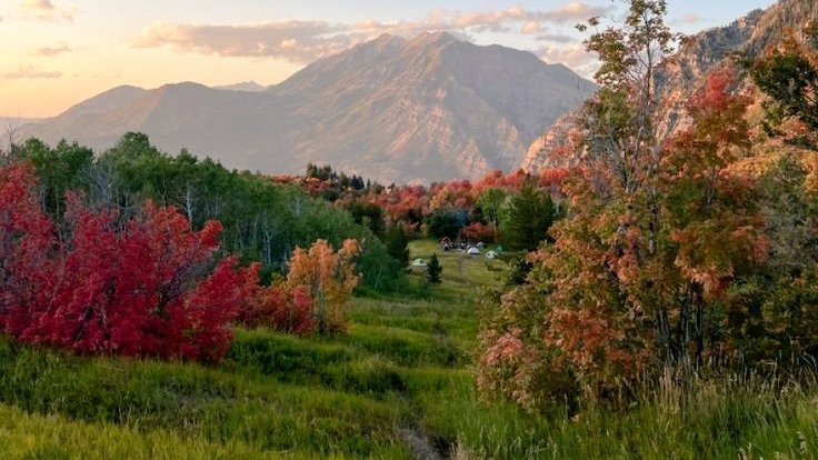 visualtherapy0's tweet image. 🍁🍂🍁🍂