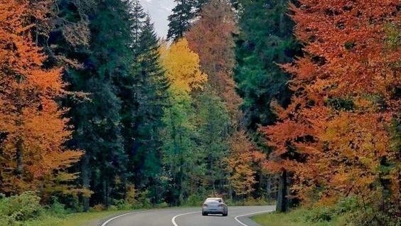 visualtherapy0's tweet image. 🍁🍂🍁🍂