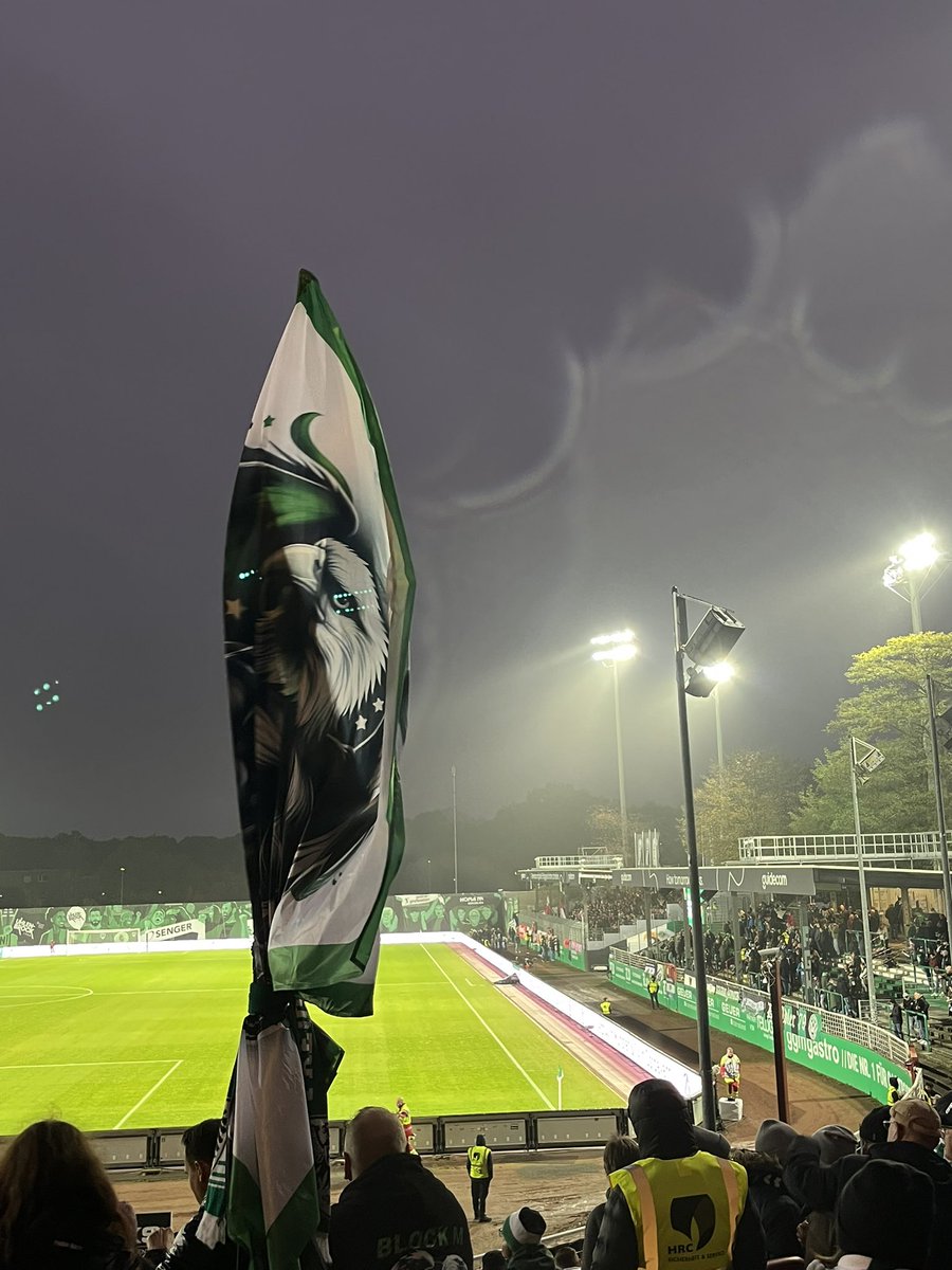 kastenmauer 🍉 tweet media