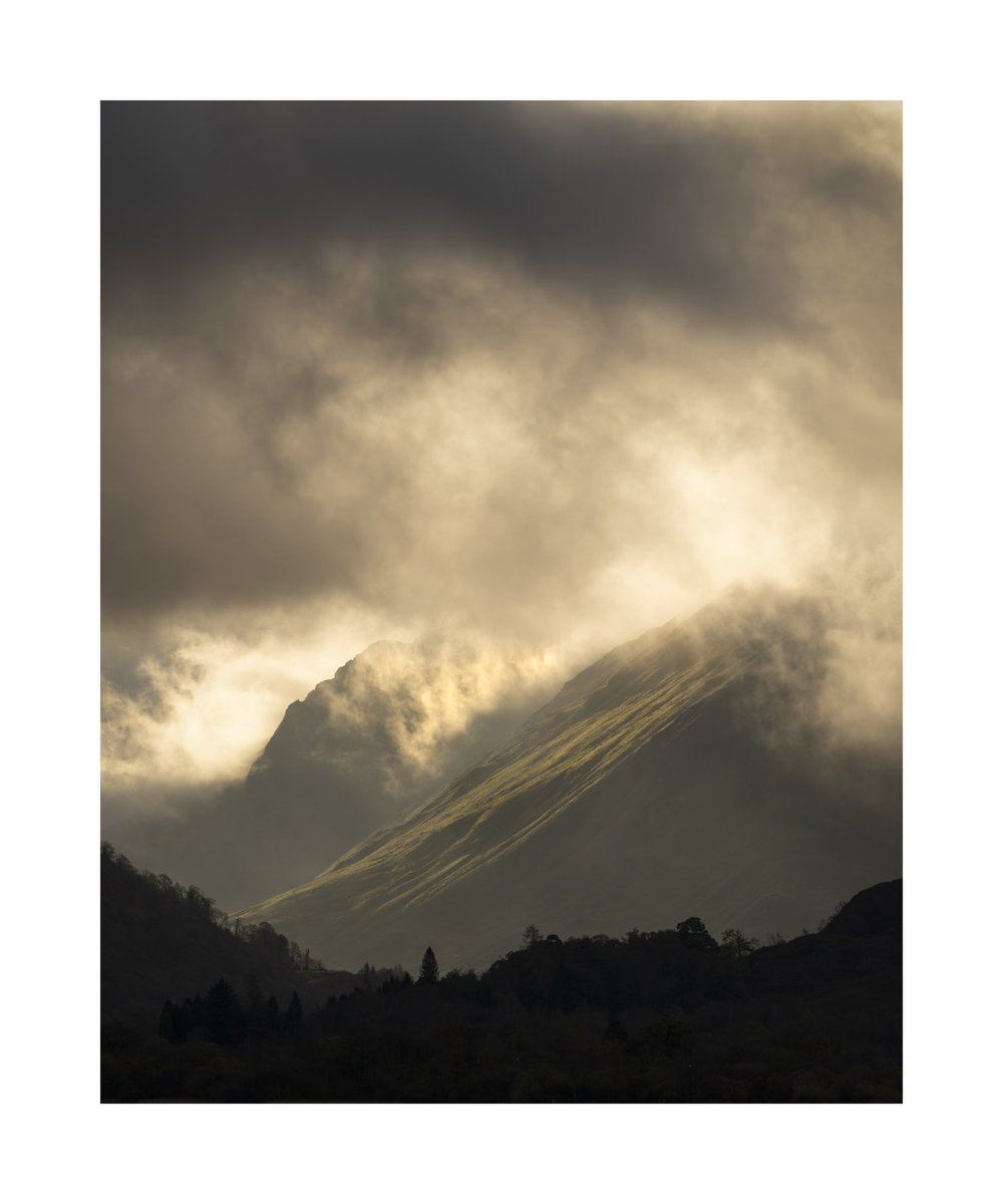 Darren Knight tweet media