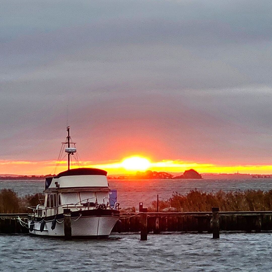 hiddenseeforum's tweet photo. Hallo November! ๐๐
#hiddensee #inselhiddensee #neuermonat #NewMonth #NovemberVibes #gutenmorgen #morning #novembermorning #hiddensee_moments #inselmomente #inselliebe #hiddenseeforum #hiddenseeliebe #sonnenaufgang #sunrise #sunriselover https://t.co/lu7k30PZLk