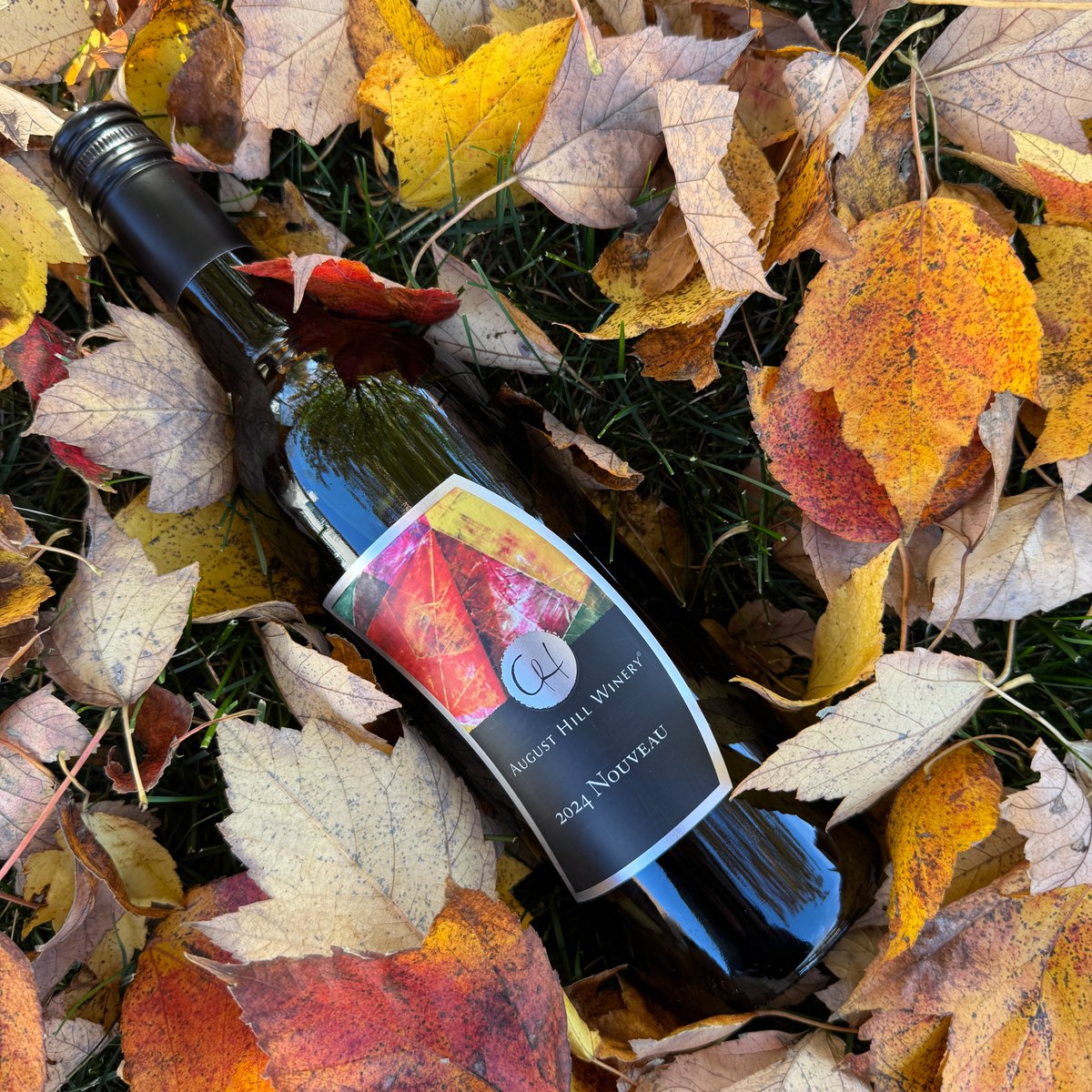 November means Nouveau! Our 2024 Nouveau is ready to make its debut later this month. Stay tuned!🍷🍁

#wine #winelover #nouveau
