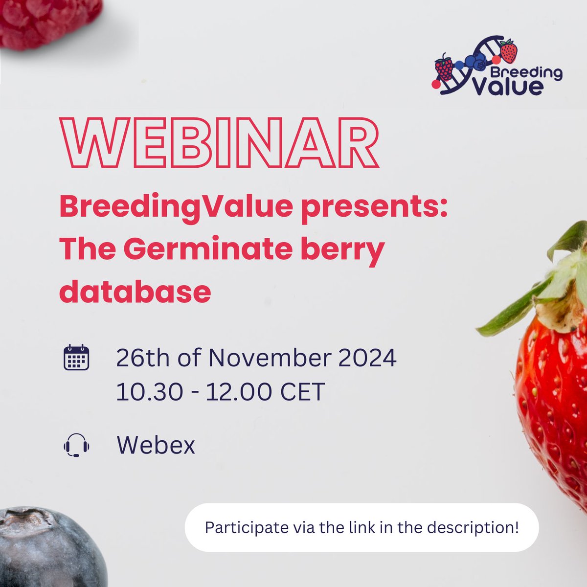 Bruno Mezzetti (@mezzettib) on Twitter photo Follow the next webinar organized by <a href="/Horizon2020_IT/">Horizon2020news</a> <a href="/BreedingValue/">Breeding Value</a> presenting The Germinate berry database:breedingvalue.eu/news/webinar-i… Follow the next webinar organized by <a href="/Horizon2020_IT/">Horizon2020news</a> <a href="/BreedingValue/">Breeding Value</a> presenting The Germinate berry database:breedingvalue.eu/news/webinar-i…