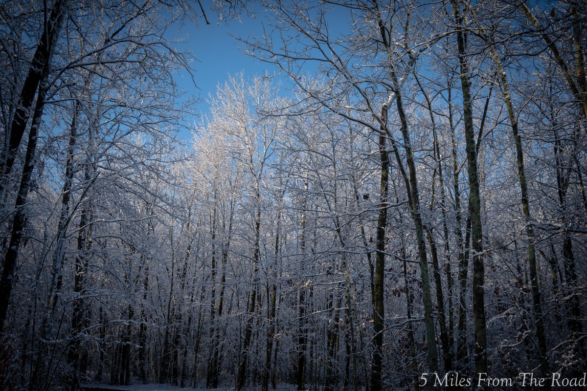 5MilesFromTheRd's tweet photo. Best recurring magic - First snow of the year - Wisconsin - 
#z50 #nikon #photography #nikon #nature #snow #firstsnow https://t.co/qWx24jrVpG